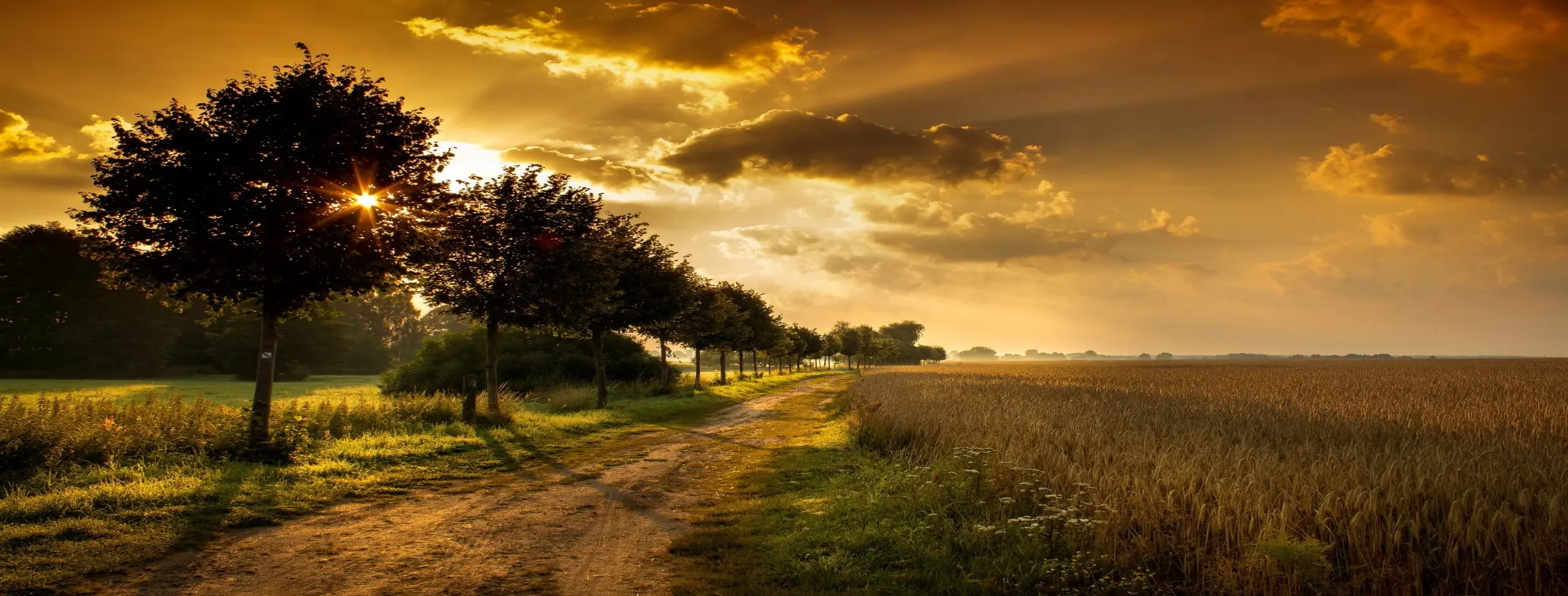 Image for Nature Escapes